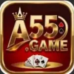 A55 Game