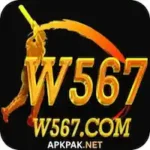 W567 Game