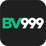 BV999 Game