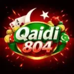  Qaidi804 Game