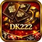 DK222 Game